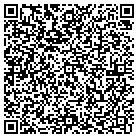QR code with Professional Travel Corp contacts