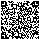 QR code with Colin Service Systems contacts