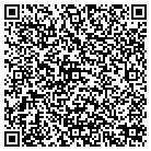 QR code with Pulsinelli Contractors contacts