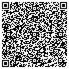 QR code with Punchlist Contracting Inc contacts
