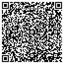 QR code with City Development Group Lia contacts