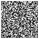 QR code with Pyramid Games contacts
