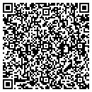 QR code with Charles R Iannuzzi contacts