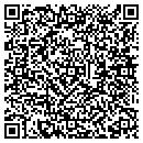 QR code with Cyber Connect Techs contacts