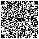 QR code with Pegma Technologies Corpor contacts