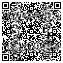QR code with Cybervision Enterprises contacts