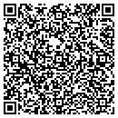 QR code with Precision Painters contacts