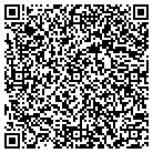 QR code with Haines Lawn & Landscaping contacts
