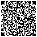 QR code with Pruzansky Associates contacts
