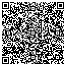 QR code with Pyramid Consulting contacts