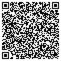 QR code with Vertis contacts