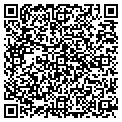 QR code with Pagoda contacts