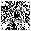 QR code with Precision Anaylitics contacts