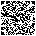 QR code with Calico contacts