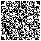 QR code with Central Gutter Cleaning contacts