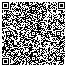 QR code with Public Consulting Group contacts