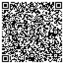 QR code with Publish Don't Perish contacts