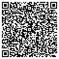 QR code with New Expressions contacts
