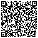 QR code with Excel contacts