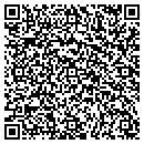 QR code with Pulse EFT Assn contacts