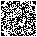 QR code with Blue Stove Antiques contacts