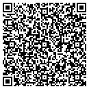 QR code with Blitz Chiropactics contacts
