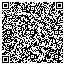 QR code with Professional Electrical Engr contacts