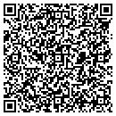 QR code with Princeton Review contacts