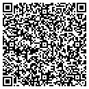 QR code with Blue Tree Books contacts