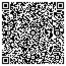 QR code with Benephys Inc contacts