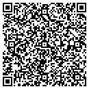 QR code with Pyramid Equipment Leasing contacts