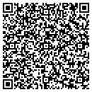 QR code with Practice Insight contacts