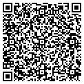 QR code with Masco contacts