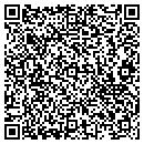 QR code with Bluebird Technologies contacts