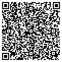QR code with Netsup contacts