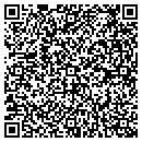 QR code with Cerullo Landscaping contacts