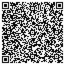 QR code with Colonial Pipeline Co contacts