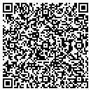 QR code with Pulpwood Inc contacts