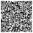 QR code with Premier Salon 20102 contacts