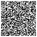 QR code with Precise Painting contacts