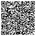 QR code with Fiddlehead LLC contacts