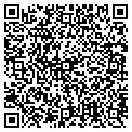 QR code with IP&e contacts