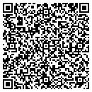QR code with Practical Telecom Inc contacts