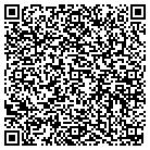 QR code with Pulsar Microwave Corp contacts