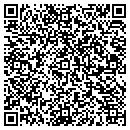 QR code with Custom Awning Service contacts