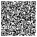 QR code with Wilson contacts