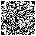 QR code with K Line contacts