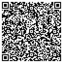 QR code with Pub Set Inc contacts