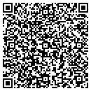 QR code with Bluebird Consulting Inc contacts