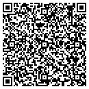 QR code with Professional Services contacts